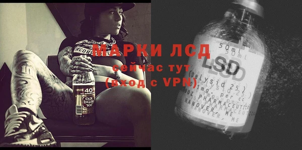 a pvp Ельня