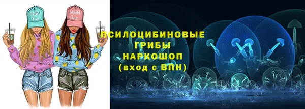 a pvp Ельня