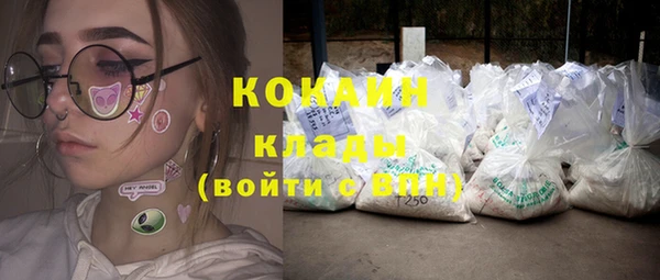 a pvp Ельня
