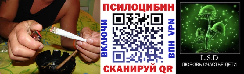 Галлюциногенные грибы мицелий Киренск